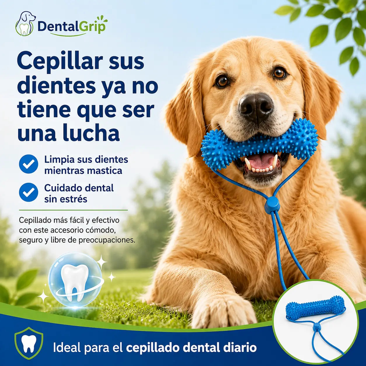 DentalGrip - Asistente para cepillado dental (Promo limitada: Paga 1 lleva 2)