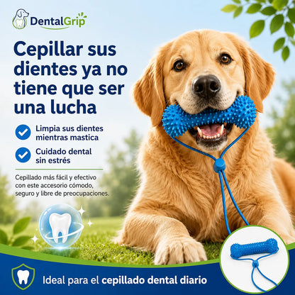 DentalGrip - Asistente para cepillado dental (Promo limitada: Paga 1 lleva 2)