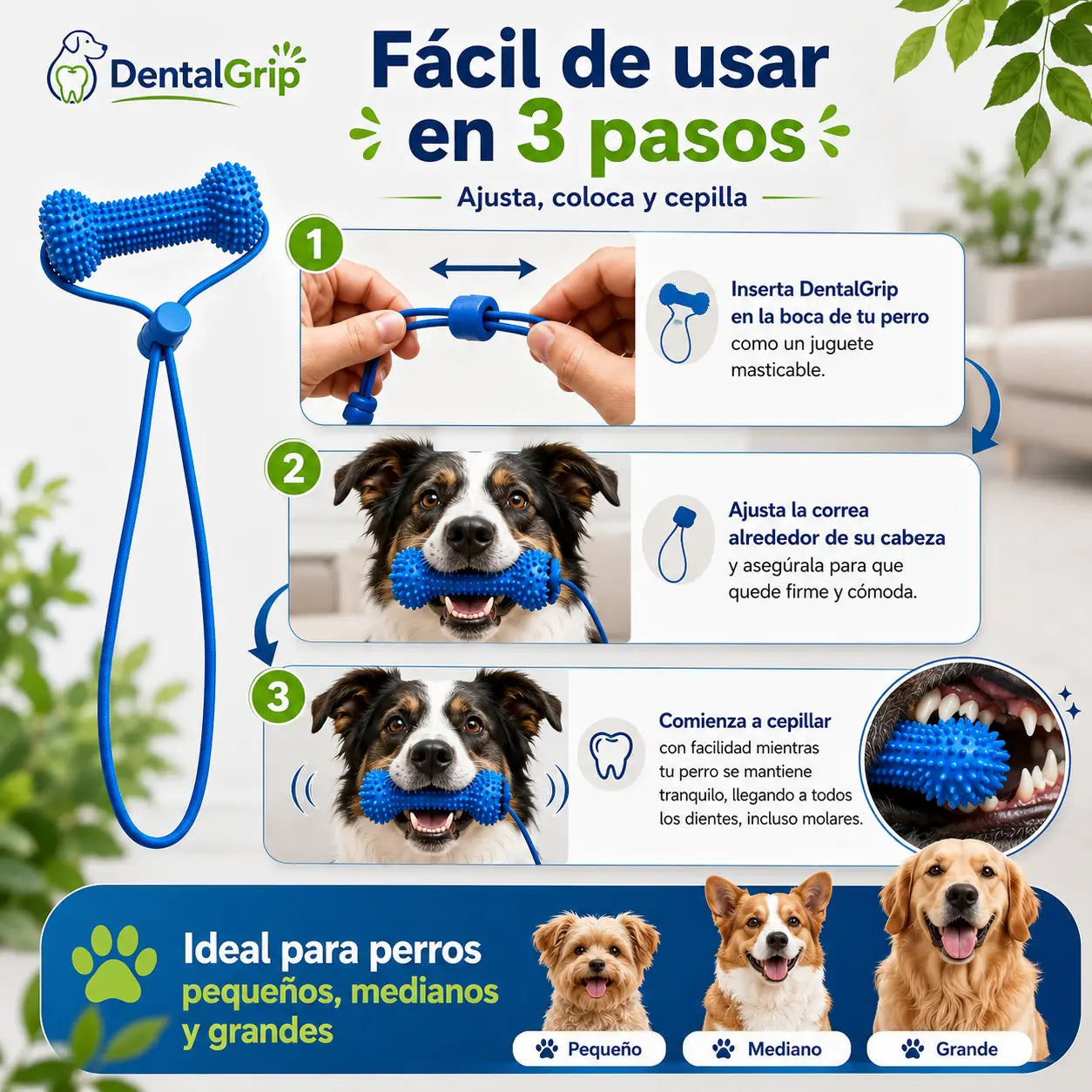 DentalGrip - Asistente para cepillado dental (Promo limitada: Paga 1 lleva 2)