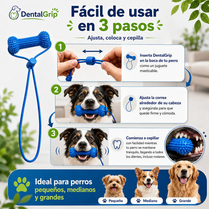 DentalGrip - Asistente para cepillado dental (Promo limitada: Paga 1 lleva 2)