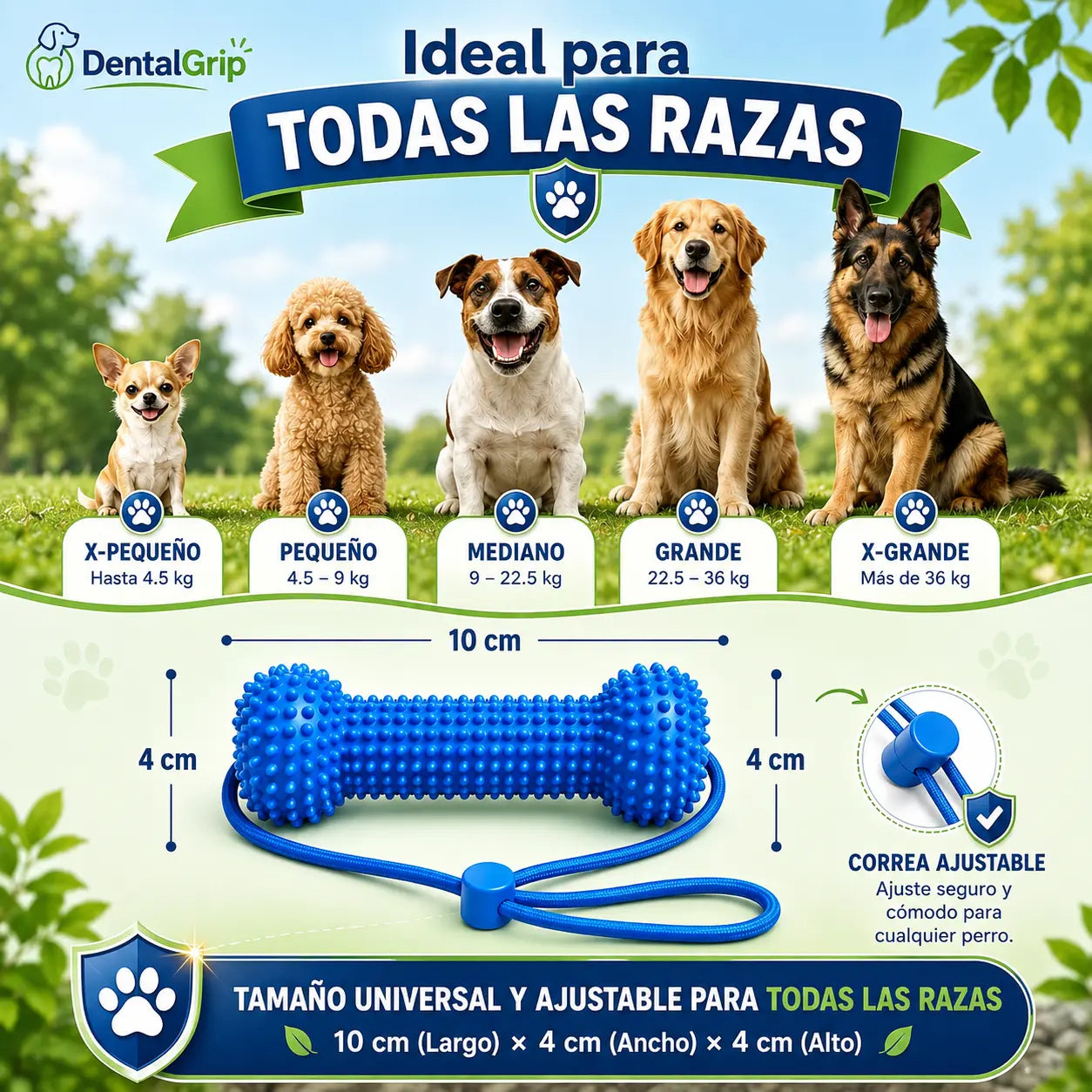 DentalGrip - Asistente para cepillado dental (Promo limitada: Paga 1 lleva 2)