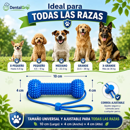 DentalGrip - Asistente para cepillado dental (Promo limitada: Paga 1 lleva 2)