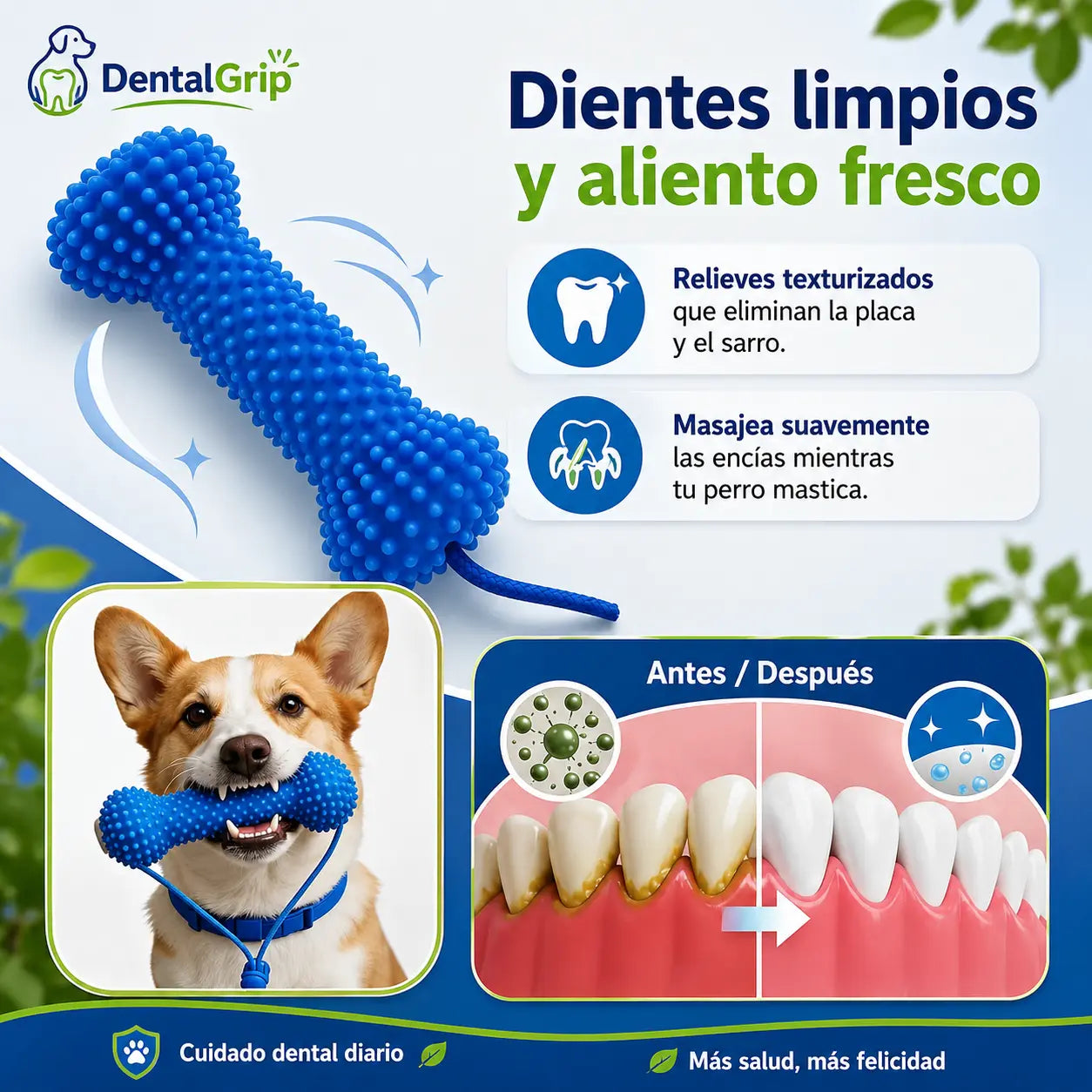 DentalGrip - Asistente para cepillado dental (Promo limitada: Paga 1 lleva 2)
