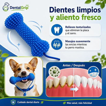 DentalGrip - Asistente para cepillado dental (Promo limitada: Paga 1 lleva 2)