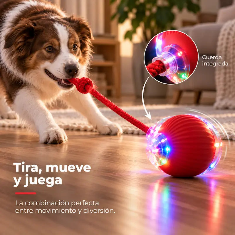 Pelota interactiva para mascotas