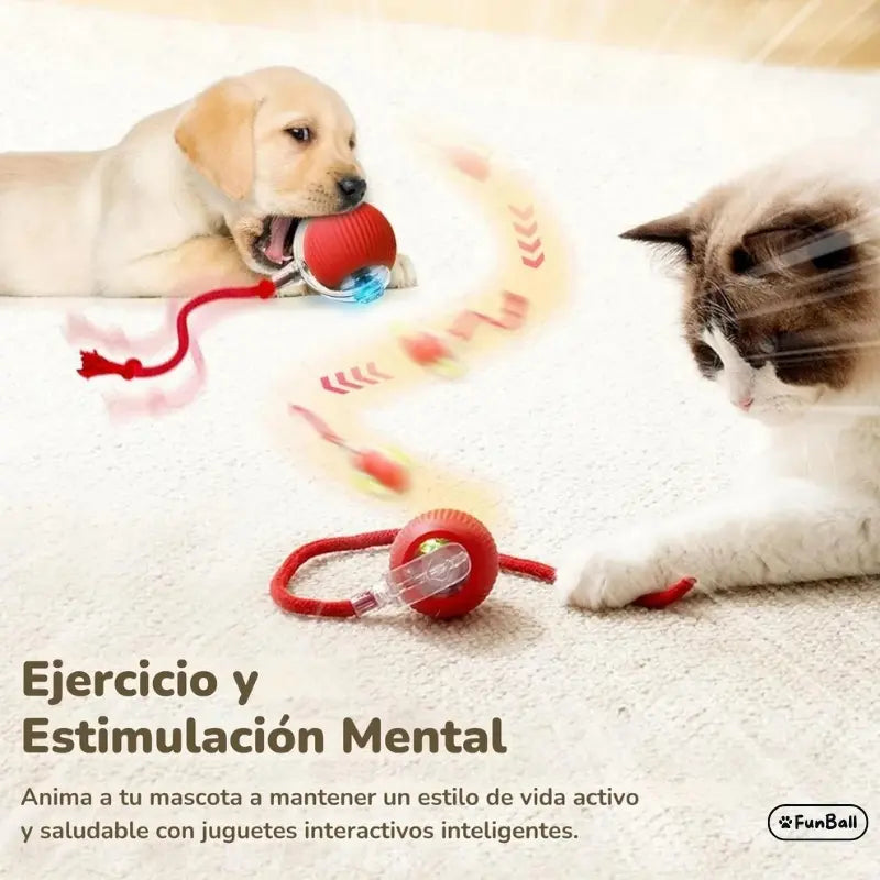 FunBall – Brinquedo interativo para animais de estimação (Promoção limitada: Paga 1 e leva outra GRÁTIS)