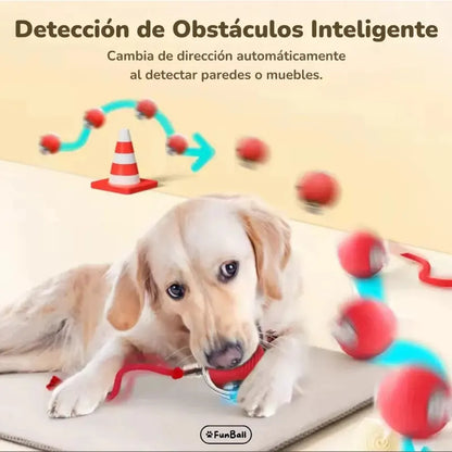 FunBall – Brinquedo interativo para animais de estimação (Promoção limitada: Paga 1 e leva outra GRÁTIS)