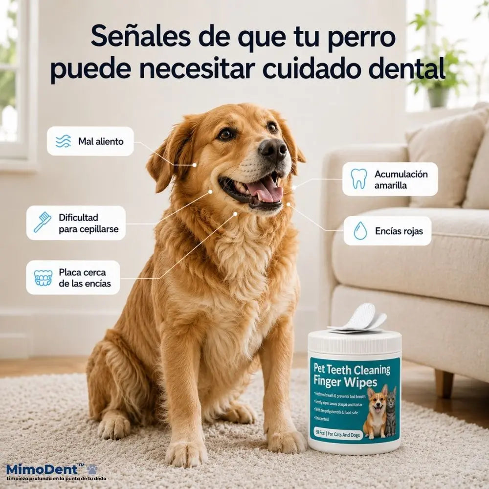 Toallitas Dentales para Perros y Gatos